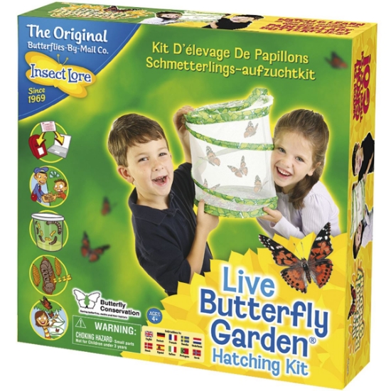 Live Butterfly Garden Kit | Exploring Nature | Mulberry Bush | Mulberry ...