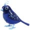 Picture of Digi Birds - Caleb