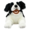 Picture of Border Collie Puppet