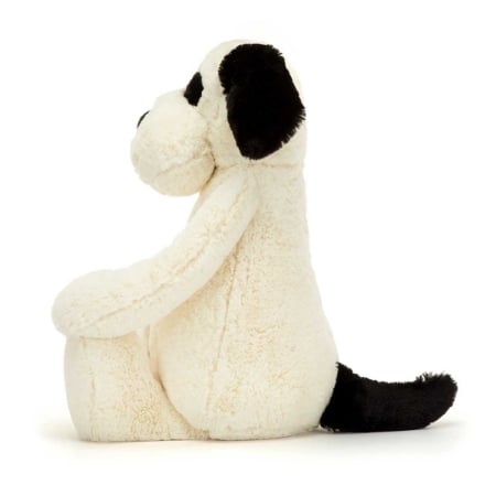 Picture of Bashful Black & Cream Puppy