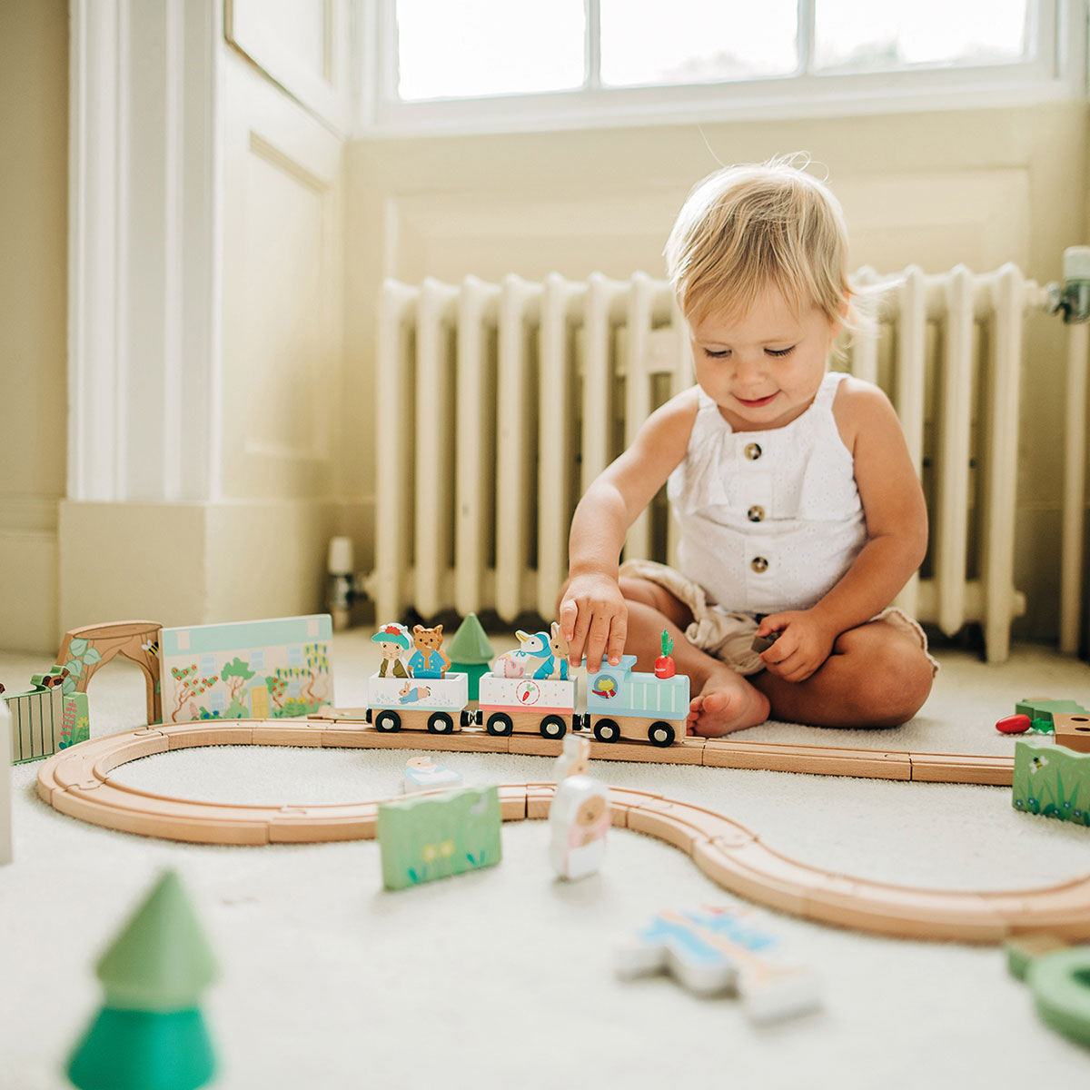 Peter rabbit wooden train online