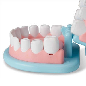 Picture of Dentist Play Set