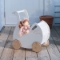 Picture of Sweet Swan Pram