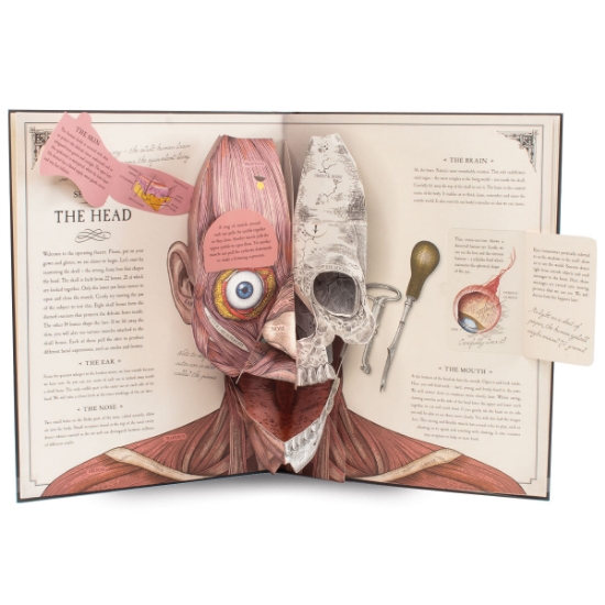 Human Body Pop Up Book