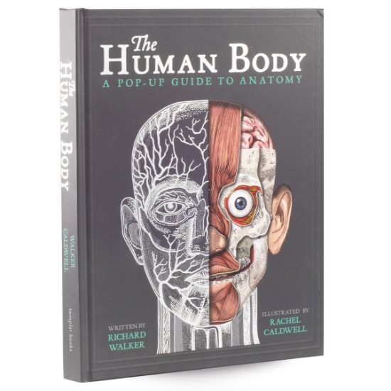 Human Body Pop Up Book