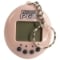 Picture of Virtual Pet