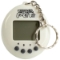 Picture of Virtual Pet