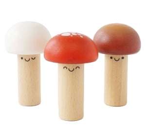 Picture of Mr Mushroom Hammer Pegs